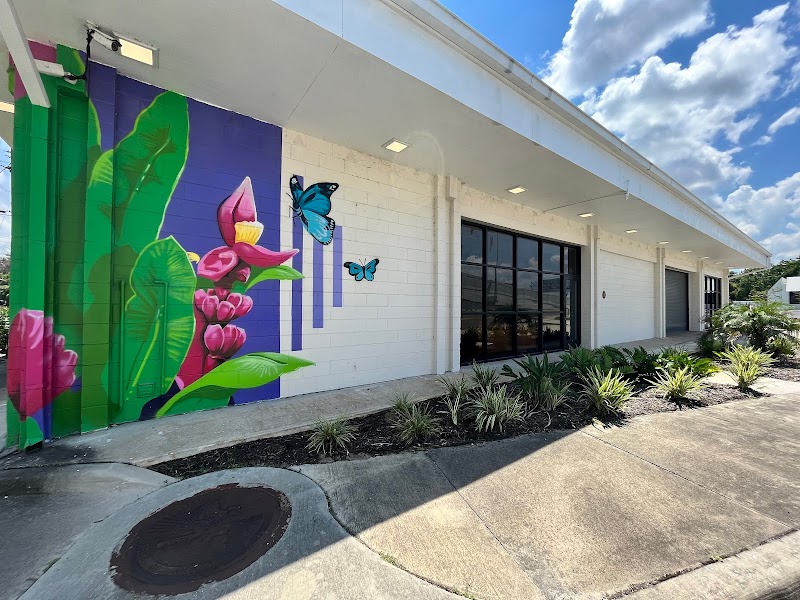 The Experience photo