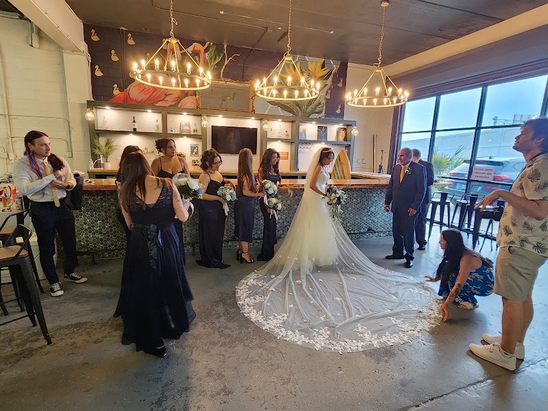 The Experience photo