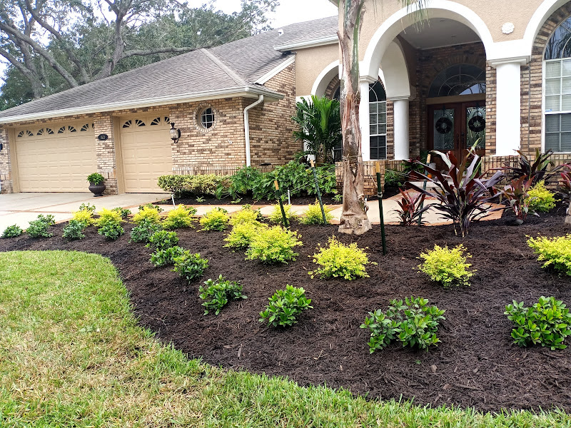 Gardens Earth and Water, LLC - Landscape designer in Clearwater