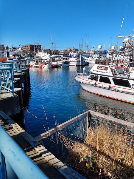 Fishermen's Terminal