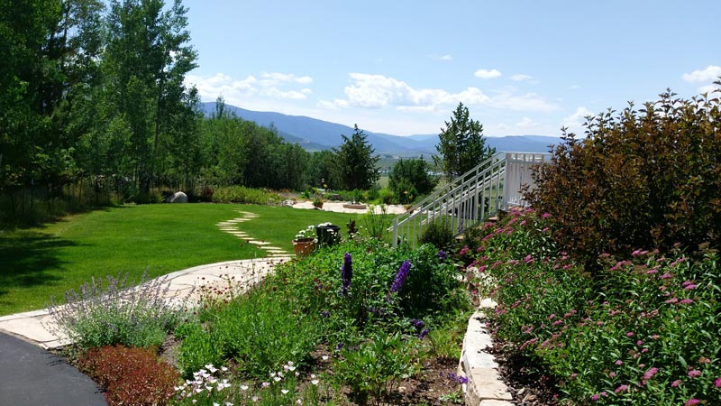 Novus Landscape