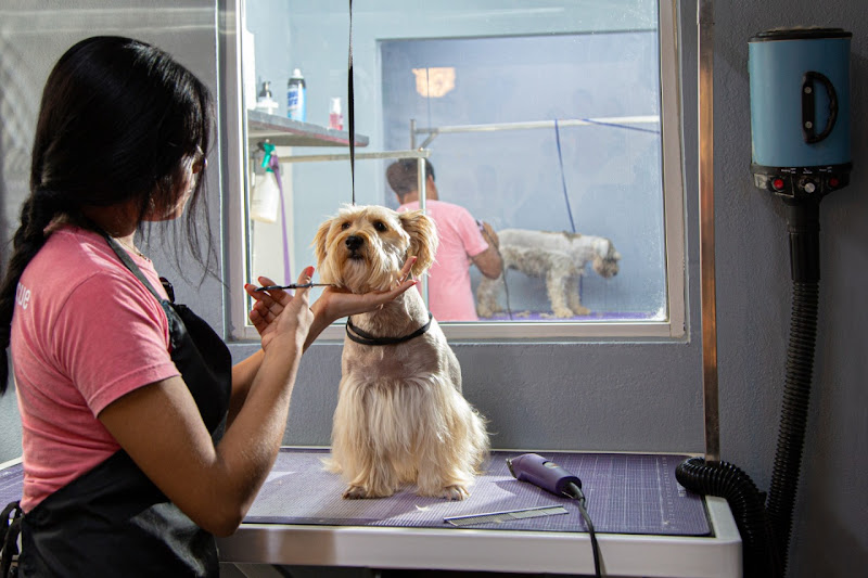 Rocky Pet Hotel & Spa - Pet groomer in Peñasco