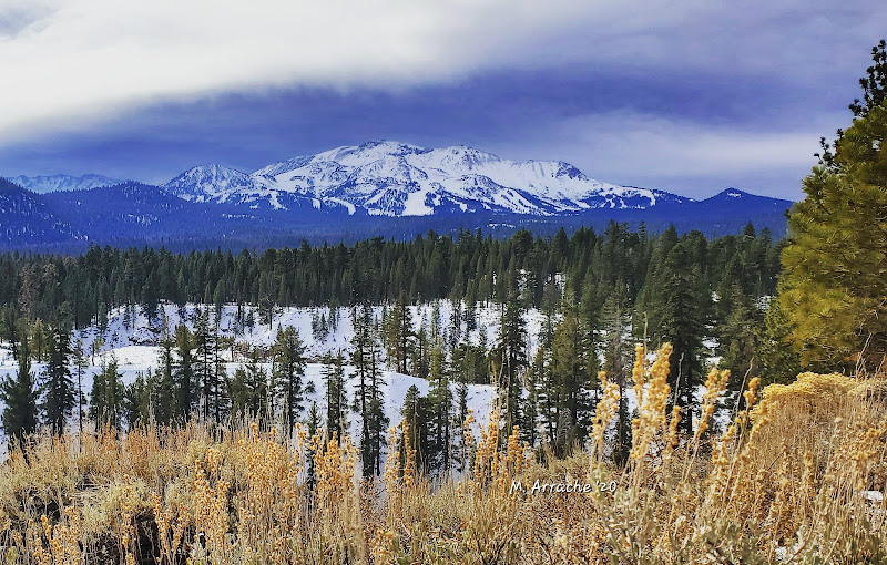 Mr. Smart Tax, Inc. - Certified public accountant in Mammoth Lakes