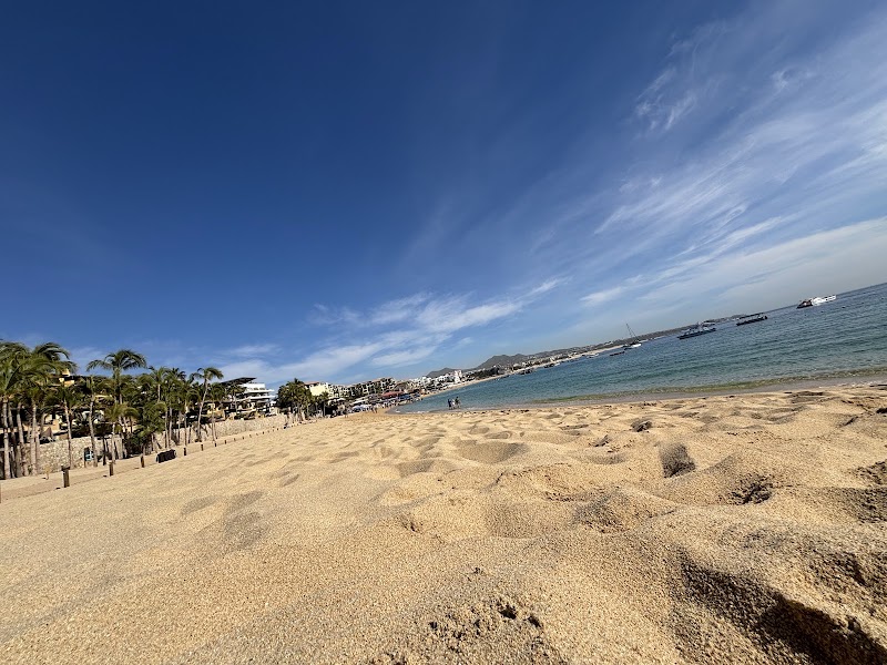 Playa el Medano Los cabos - Tourist attraction in 23453 Cabo San Lucas