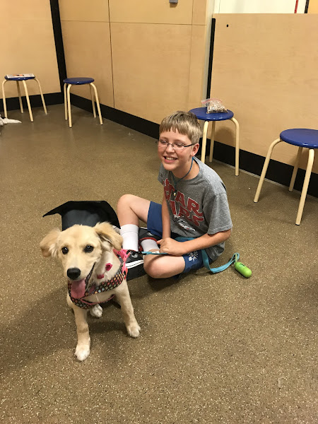 North Lamar Veterinary Clinic