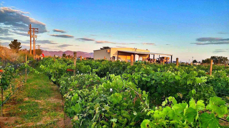 Salvatore Vineyards Tasting Room - Winery in Scottsdale