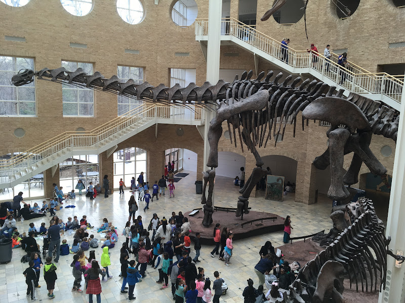Fernbank Museum | 3D Theater | Forest - Natural history museum in Atlanta