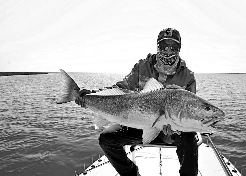 The Hatch Outfitters Fly Shop - Fishing store in Chattanooga