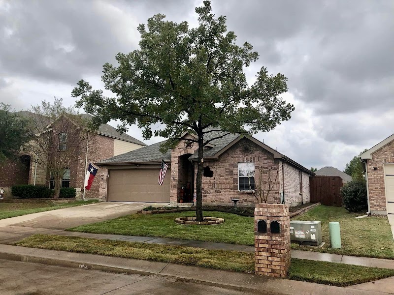 Startex Landscaping LLC, photo