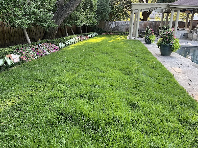 Startex Landscaping LLC, photo