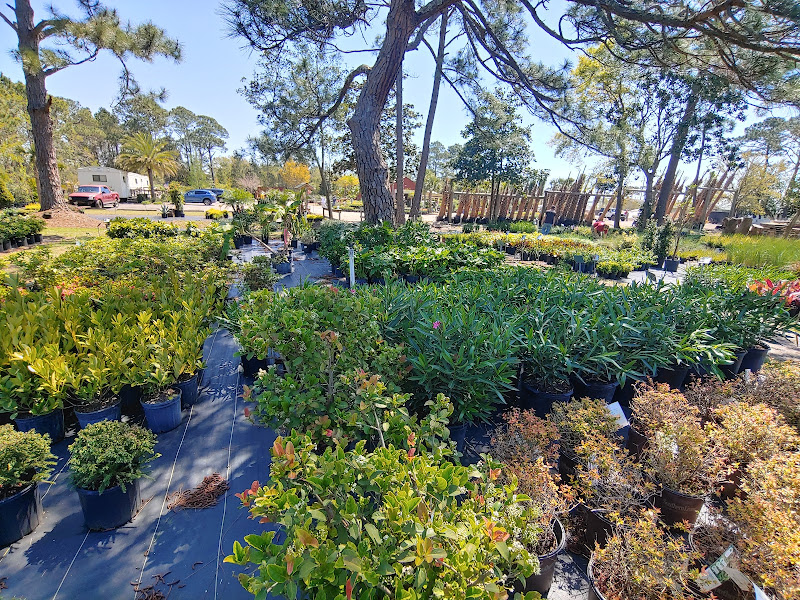 Panhandle Palm & Rock - Plant nursery in Navarre