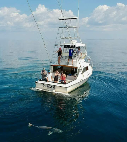 Private Charters Sport Fishing - Fishing charter in Panama City Beach