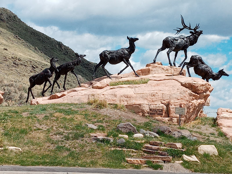 National Museum of Wildlife Art - Tourist attraction in Jackson