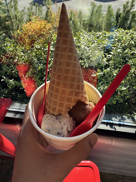 Castle Rock Creamery