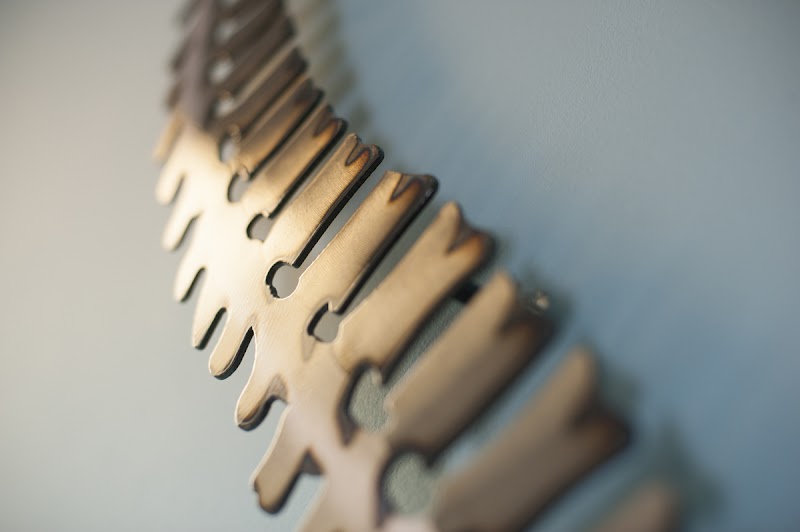 Portland Chiropractic Neurology - Chiropractor in Portland