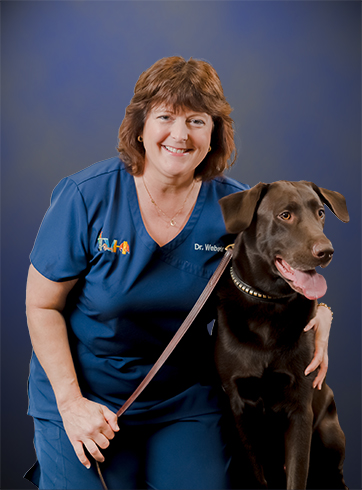 Tampa Veterinary Hospital