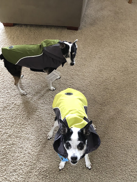 Meadowlawn Animal Services at Myrtle Beach