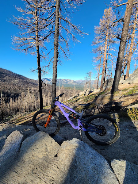 Watta Bike Shop