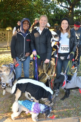 Forsyth Park Animal Hospital