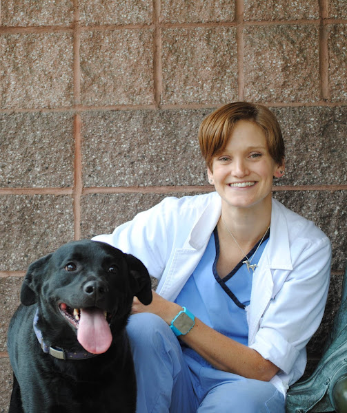 VCA Briarcliff Animal Hospital - Veterinarian in Atlanta