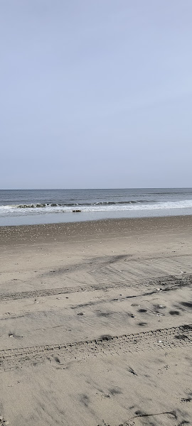 OBX Fit - Gym in Corolla