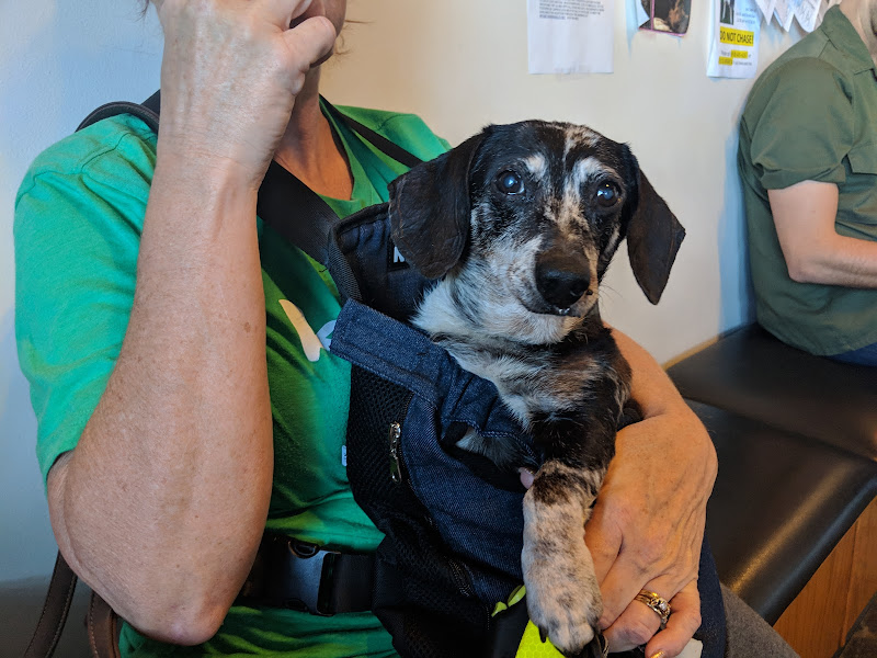 Grand Animal Hospital