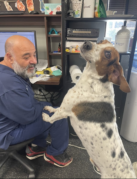 BluePearl Pet Hospital Fort Lauderdale