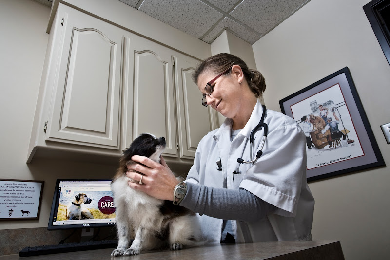 Hillside Veterinary Clinic