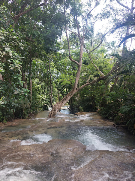 Dunn's River falls