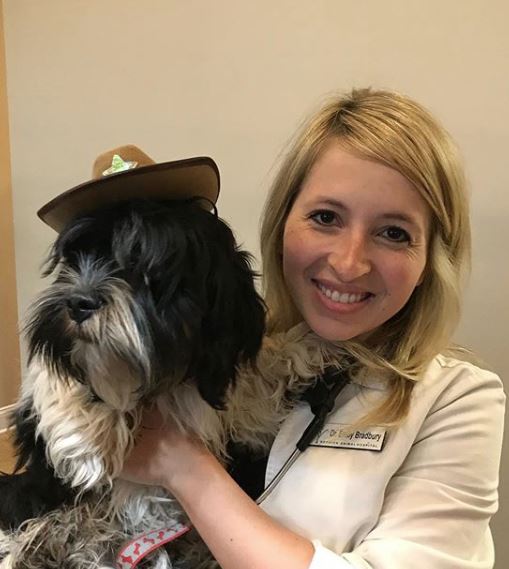 Berwick Animal Hospital LLC