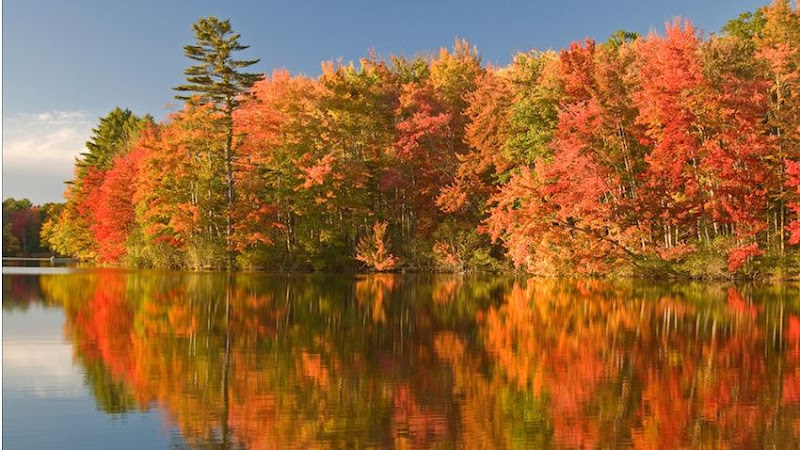 Lake Geneva Health Insurance - The Premium Package - Health insurance agency in Lake Geneva
