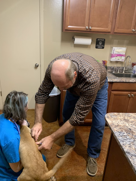 The Village Veterinarian - Veterinarian in Destin