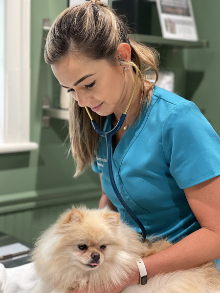 All Creatures Veterinary Clinic - Veterinarian in Charleston