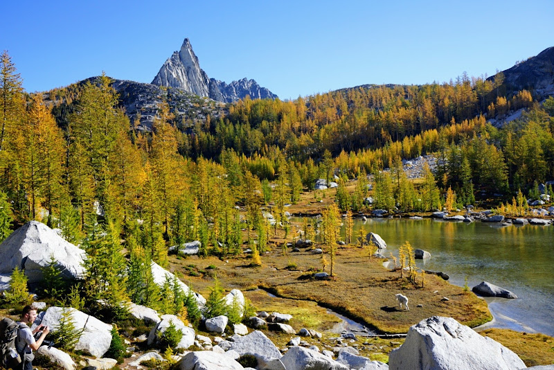 The Enchantments