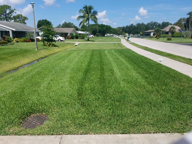 Land Art Lawn Care Service and Turf Management