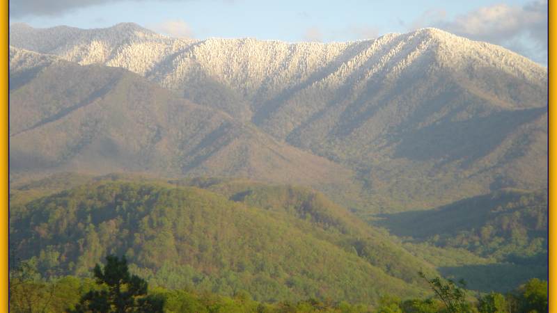 Jason White Team - Real estate agency in Gatlinburg