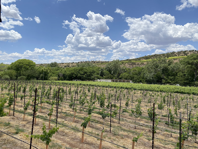 Elevated Sedona Wine Tours - Tour operator in AZ-89A #1