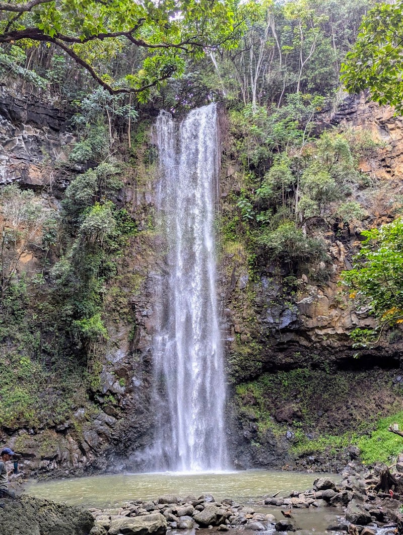 Bring Me a Kayak - Kauai Rentals photo