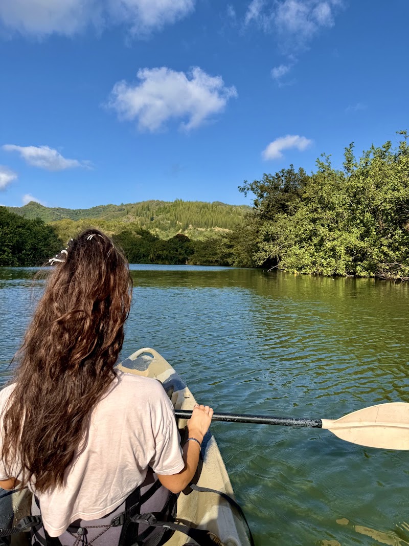 Bring Me a Kayak - Kauai Rentals photo