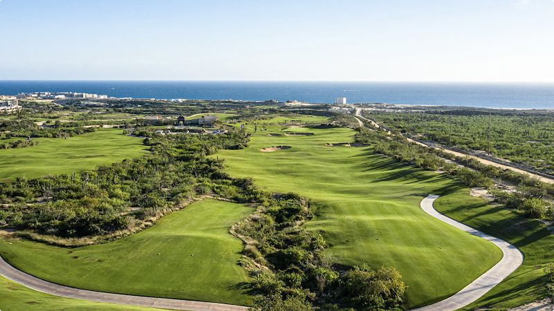 Oceanside Real Estate Group (Cabo San Lucas) - Real estate agency in Av. del Pescador 2501-Local H-5