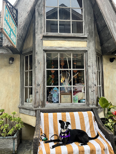 Carmel Surf Shop - Surf shop in Tucked into Serena Court