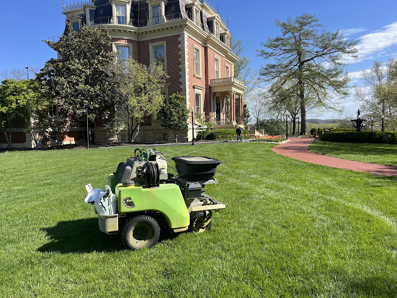 TurfMark Services