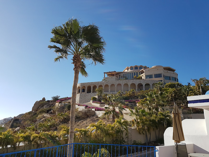 Pedregal Real Estate - Real estate agency in Pedregal