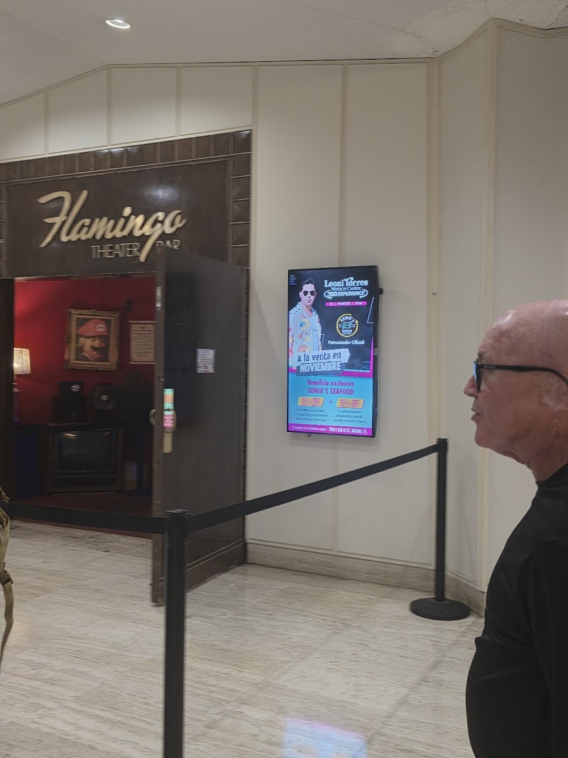 Flamingo Theater Bar photo