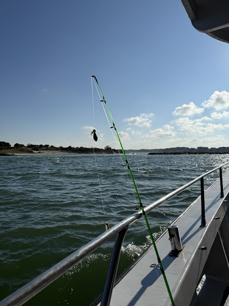 Tortuga Bay Fishing - Fishing charter in Ocean City