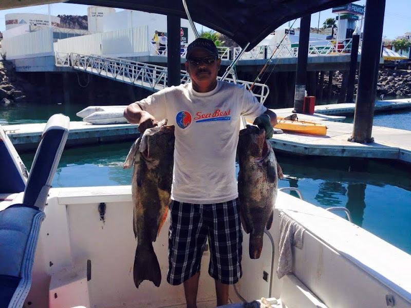 Sea Best Charters - Boat rental service in Manlio Fabio Beltrones