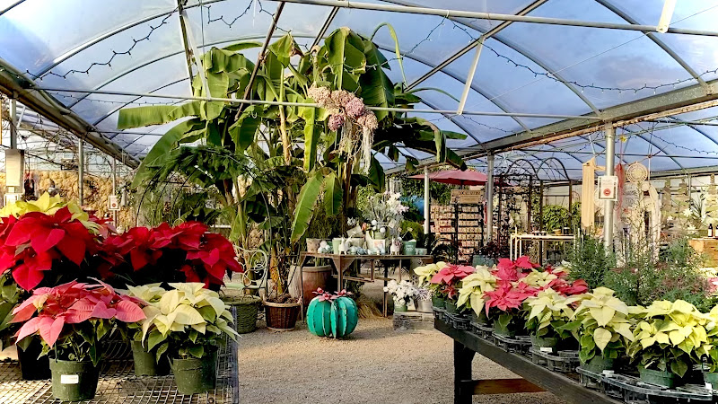 Edwards Greenhouse & Flowershop