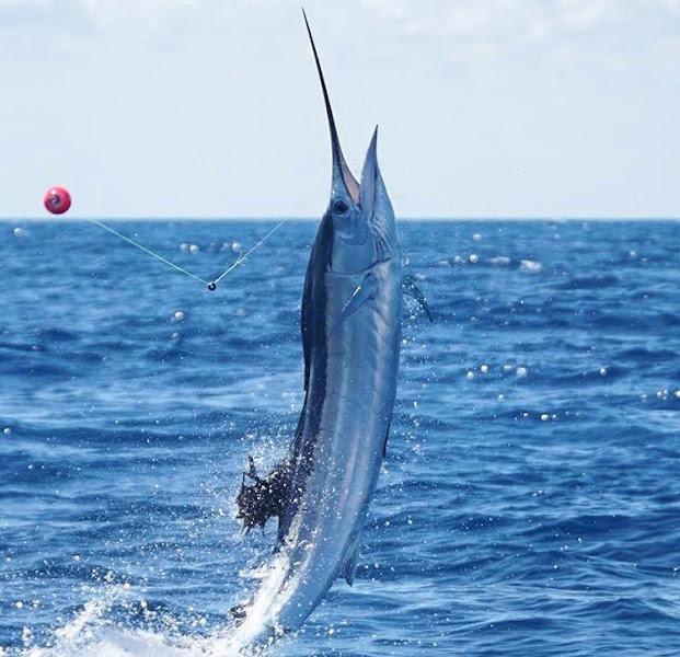 Double Threat Fishing Charters