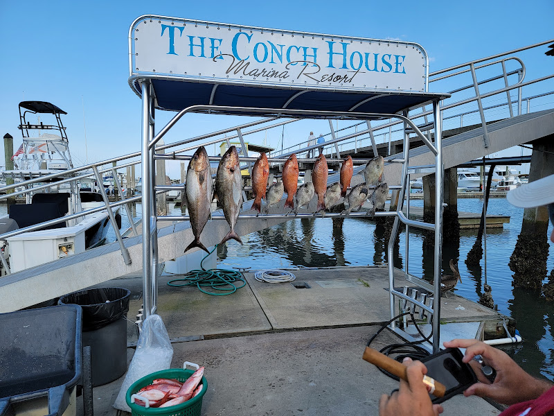 Jodie Lynn Sport Fishing Charters