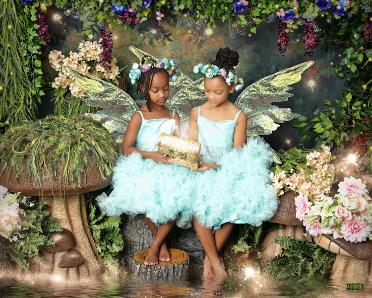 Enchanted Fairies of Tampa, FL